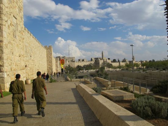 Movimento Sionista Israel Movimento Sionista Israel