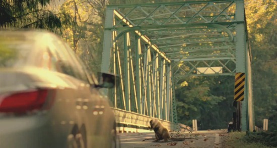 salvando vidas salvando vidas