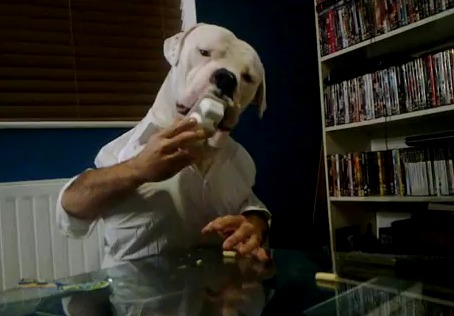 Cachorro humano Cachorro humano